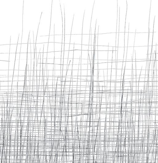 Фотопанно Seagrass от ECO Wallpaper с изображением густой и частой решетки, состоящей из множества слоев снизу и утончаясь кверху, постепенно превращающейся в отдельные прутья. Посмотреть коллекцию, выбрать обои, заказать доставку.