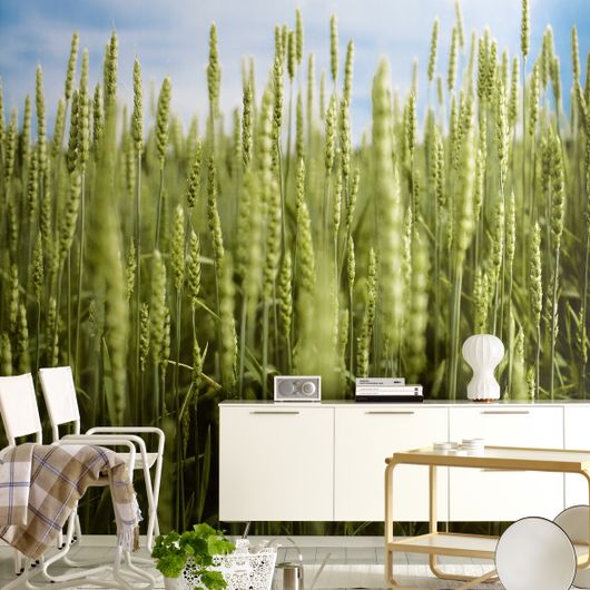 Крупное фото пано Summer field с пейзажным снимком пшеничного поля в скандинавском интерьере гостиной