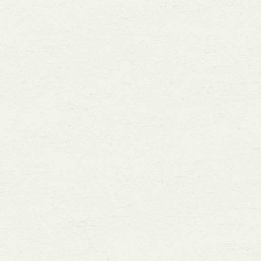 Флизелиновые обои ECO White&Light,арт.7154
Однотонные фоновые обои с серым оттенком  с мелкими вкраплениями.Купить в Москве.Обои в квартиру.