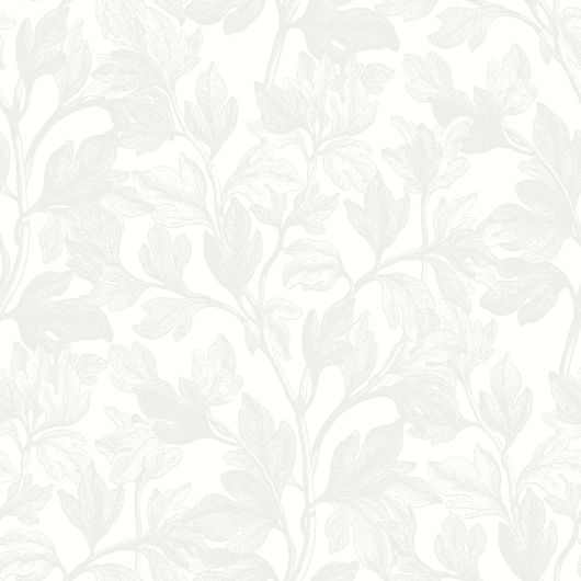 Легкий растительный рисунок извивающихся ветвей Фигового дерева. Шведские обои из коллекции Eco "White & Light" арт.7167.Заказать в интернет-магазине. Бесплатная доставка.Большой выбор обоев. Экологичные обои