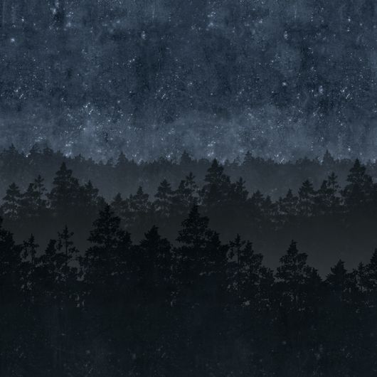 Обои из Швеции коллекция Graphic World .  Рисунок под названием NORDIC NIGHT с изображением звездного неба над густым, таинственным хвойным лесом .оплата онлайн, большой ассортимент