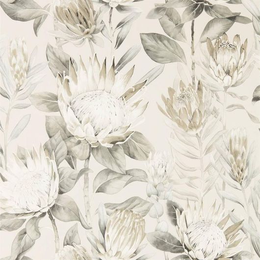 Флизелиновые обои для маленькой прихожей дизайн King Protea из коллекции The Glasshouse от Sanderson арт.216647 с рисунком крупных цветов на светлом фоне можно выбрать на сайте odesign.ru