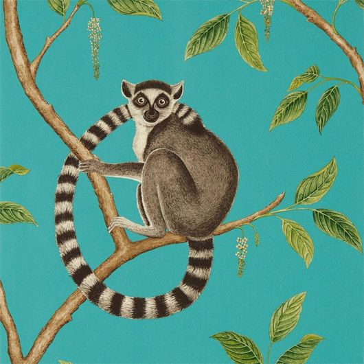 Купить флизелиновые обои для гостиной Ringtailed Lemur с лемурами я ярком бирюзовом фоне из коллекции The Glasshouse от производителя Sanderson в интернет-магазине с доставкой