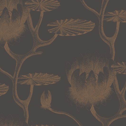 Обои Lily - классический цветочный дизайн Cole & Son с водяными лилиями бронзового цвета на угольном фоне, напоминающими иллюстрацию из старинной книги. Обои для гостиной, обои для спальни. Большой ассортимент обоев в Москве.