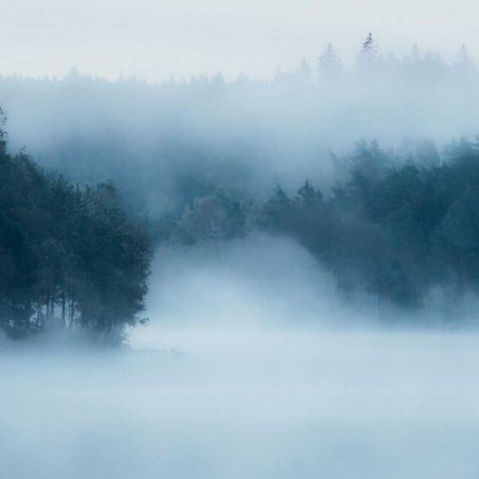 Цифровое фотопанно для интерьера Marie Mattsson Delsjön, арт. 9780W от Borastapeter — пейзаж предрассветного туманного скандинавского леса. Эти романтичные обои идеально подойдут для спальни, гостиной или прихожей, создавая уютную атмосферу. Приобрести их можно в интернет-магазине ODesign с бесплатной доставкой по всей России.
