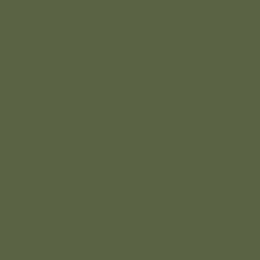 Зеленые однотонные широкие обои "Plain" арт.Am 3 005/2, из коллекции Ambient vol.2, Milassa, обои для кухни