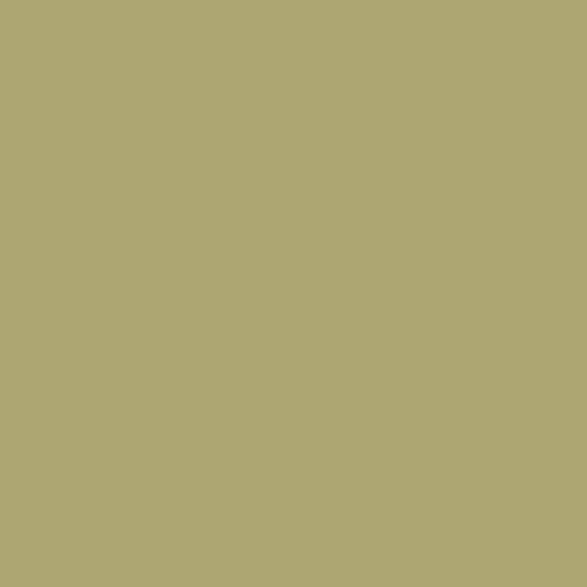 Оливковые однотонные широкие обои "Plain" арт.Am 3 005/4, из коллекции Ambient vol.2, Milassa, обои для кухни