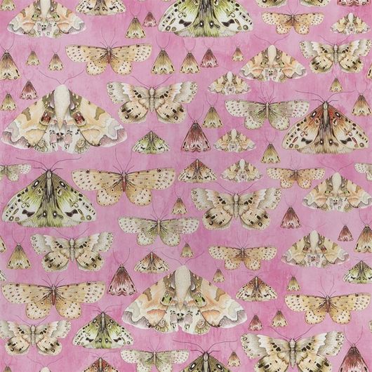 Купить обои PDG713/03 с бежевыми бабочками на акварельном розовом фоне из коллекции Jardin Des Plantes от Designers guild,пр-во Великобритания в интернет магазине odesign