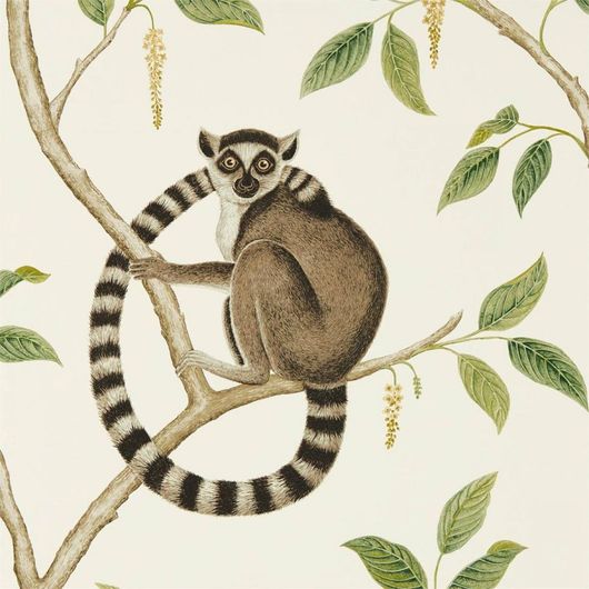 Выбрать дизайнерские флизелиновые обои для спальни Ringtailed Lemur с растительным узором и животными на светлом фоне  из коллекции The Glasshouse от Sanderson в каталоге.