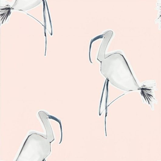 Приобрести обои в гостиную арт. 111999 дизайн Zanzibar из коллекции Zanzibar от Scion, Великобритания с принтом в виде абстрактных фламинго серого цвета на розовом фоне в интернет-магазине Odesign.ru с бесплатной доставкой, онлайн оплата