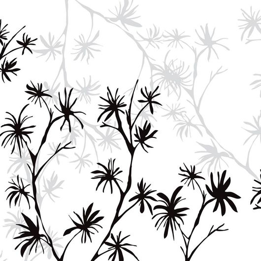 Фотообои DM201-3. Черные и серые ветви с листвой тропического дерева на фоне белого цвета. Посмотреть коллекцию, выбрать обои, заказать доставку