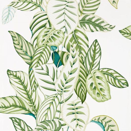 Посмотреть сочные обои с тропическими листьями для кухни дизайн Calathea арт. 216630  коллекция The Glasshouse от Sanderson в шоу-руме в Москве