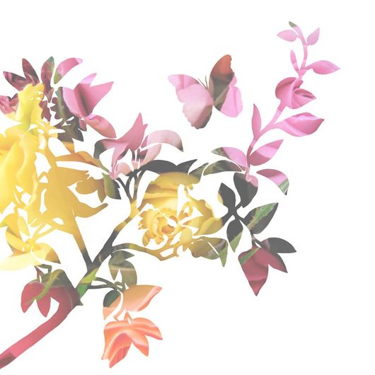 Фотопанно Silhouettes, Mr. Perswall с изображением силуэтов цветущей ветки и летящей над ней бабочки в технике, похожей на декупаж, зеленых, розовых и солнечно-желтых оттенков на белом фоне. Заказать фотообои для стен, большой ассортимент, бесплатная доставка.