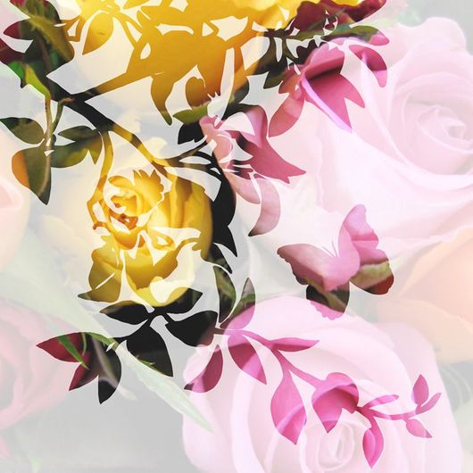 Фотопанно Roses in the shadow, Mr. Perswall с изображением роскошных роз, словно подернутых дымкой, на заднем плане, а на переднем – красивый контур цветущей ветки с парящей над ней бабочкой. Купить фотообои для стен в Москве, бесплатная доставка.