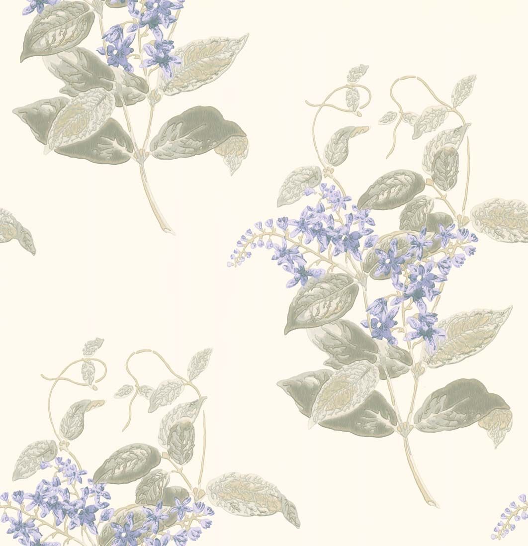 Английские обои "Madras Violet" Cole&Son 100/12057 Англия Флизелин ...