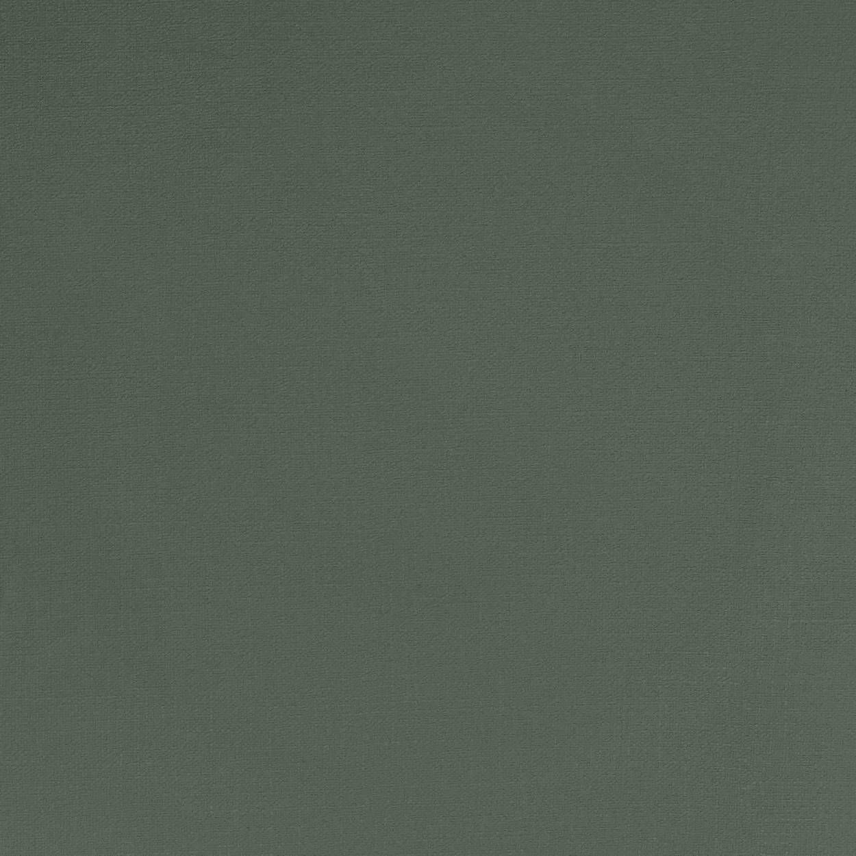 Alessandro Allori 15007 16 Alessandro Allori Rebecca