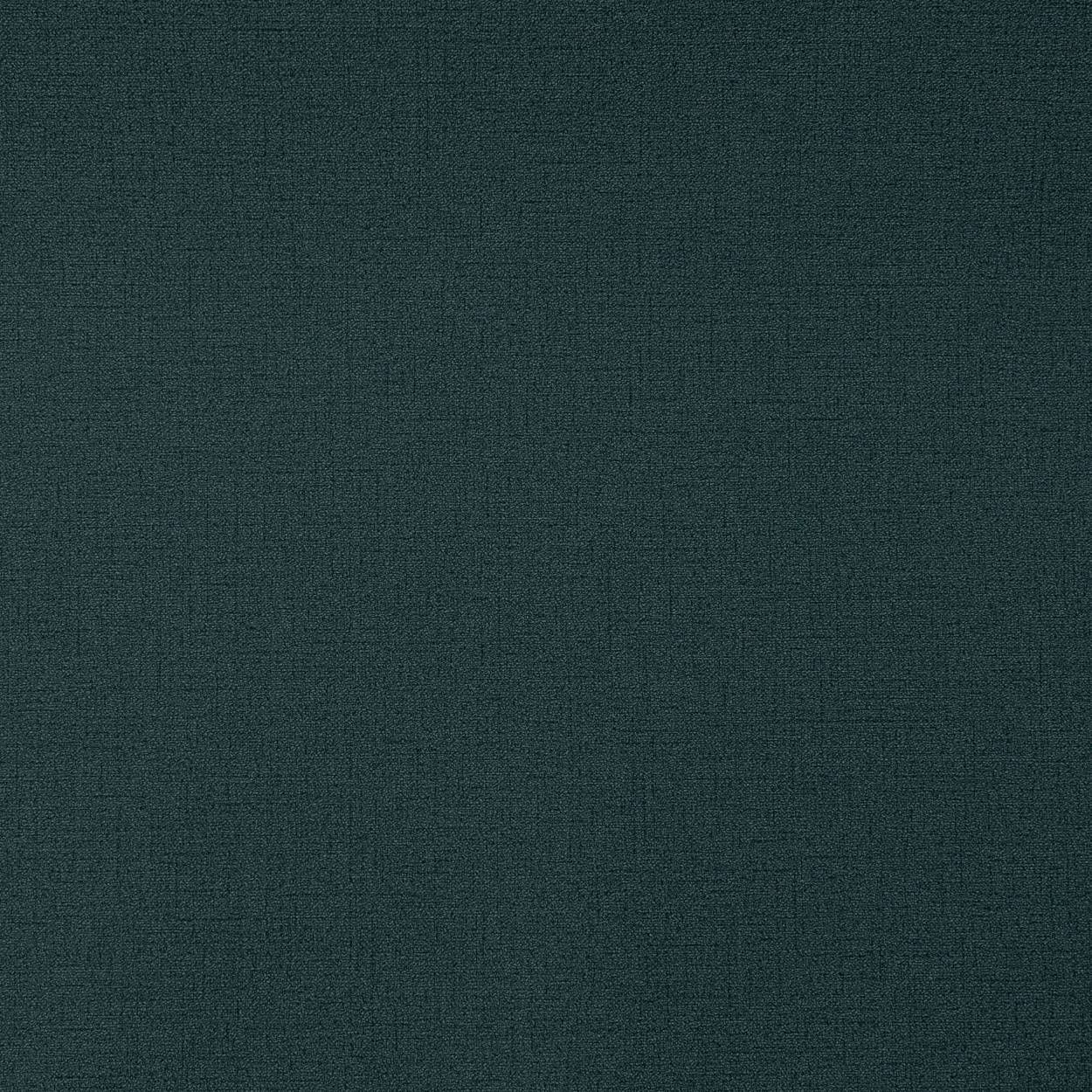 54379-11 ANDREA ROSSI # Spectrum PRO