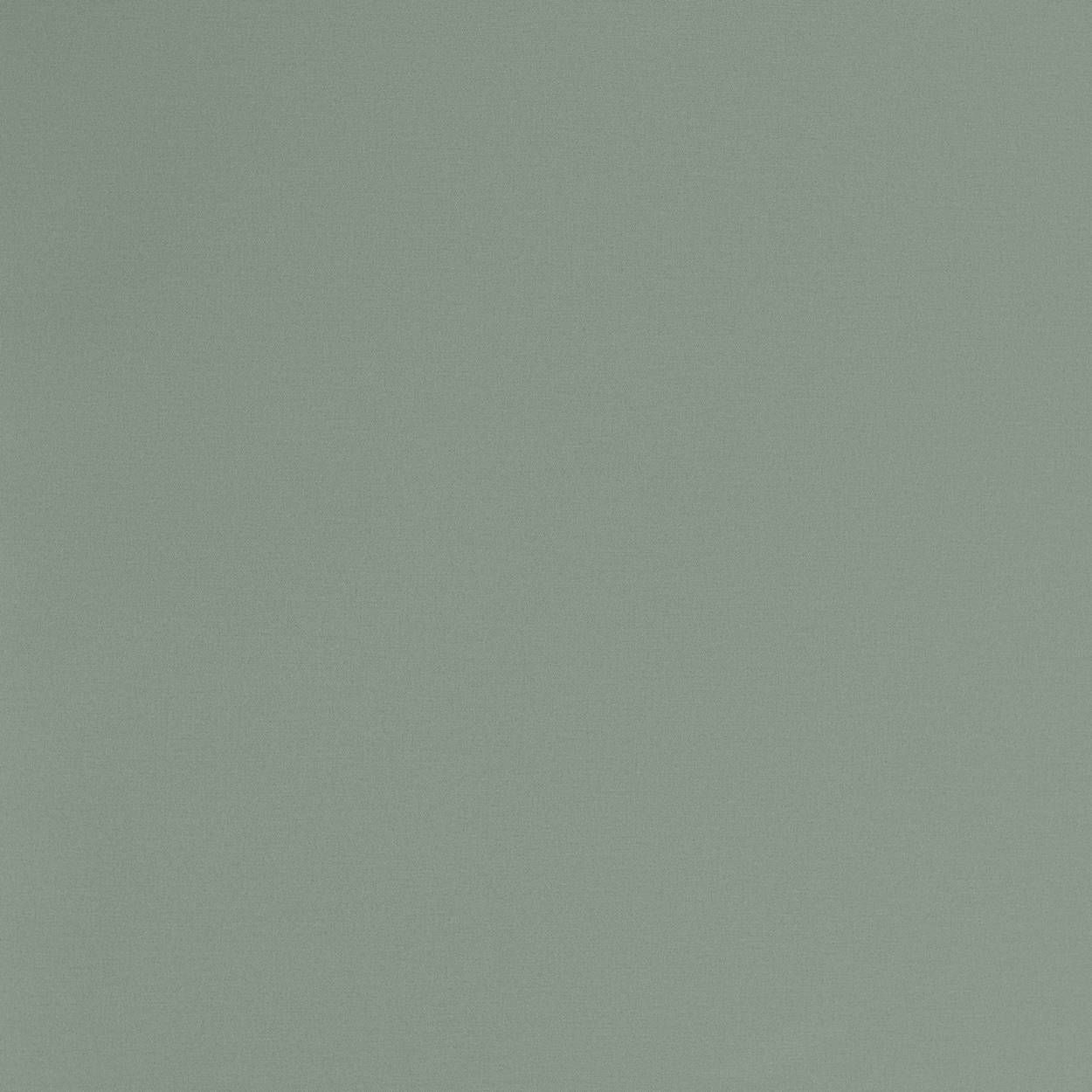 54383-14 ANDREA ROSSI Spectrum PRO