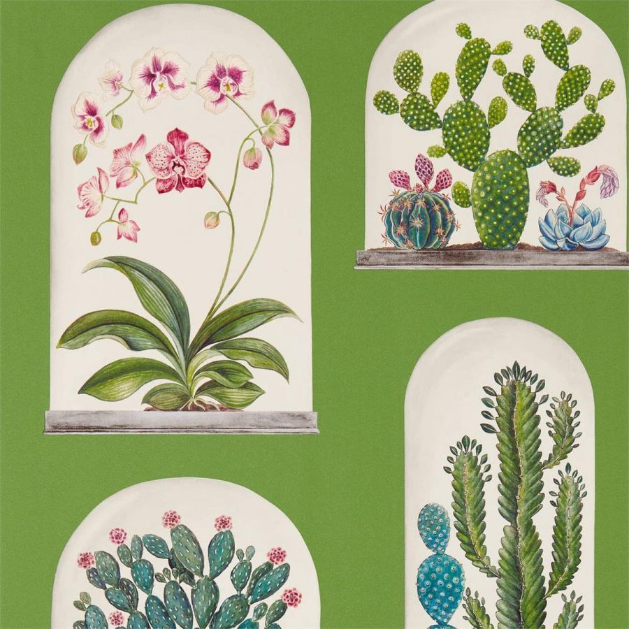 Sanderson The Glasshouse Terrariums 216656