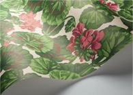 Флизелиновые обои Geranium Артикул: 117/11034, Cole&Son