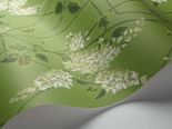 Английские обои Wisteria, Артикул: 115/5016