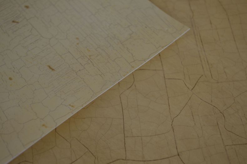 Trianon From Archive