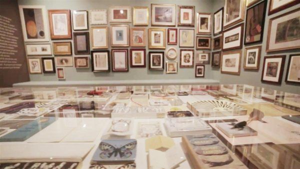 Экспонаты выставки