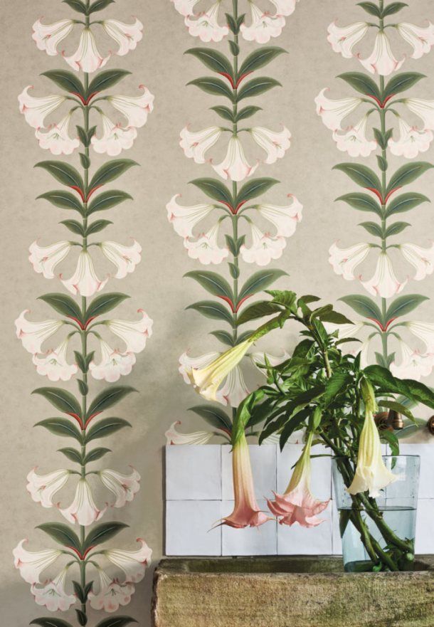 Флизелиновые обои Angel's Trumpet в интерьере Артикул: 117/3007, Cole&Son