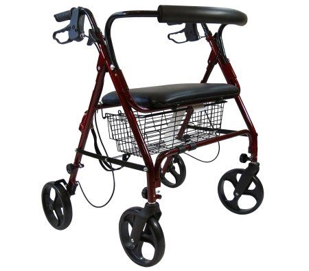 Современная модель Ролятора