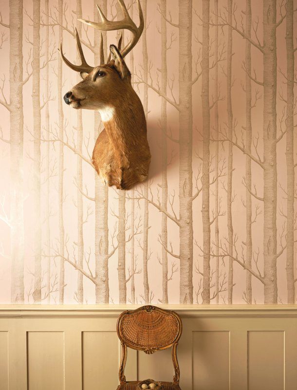 Обои Woods by Cole&Son