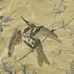 Раппорт  Hummingbirds (колибри)  вышитый на ткани из 100% шелка от Cole&Son. Производство Англия. Арт. F111/1001.