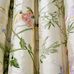 Вышитый рисунок на ткани Hummingbirds (колибри) 100% Silk (шелк) от Cole&Son купить в магазине О-Дизан в Москве. Производство Англия. Арт. F111/1002.