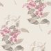 Обои Madras Violet от Cole & Son с детальной проработкой рисунка цветков мадрасской фиалки и изумительной игрой элегантных оттенков карминно-розового и капучино на дымчатом фоне. Купить обои для спальни, гостиной в интернет-магазине, онлайн оплата.