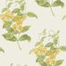 Обои Madras Violet от Cole & Son с детальной проработкой рисунка цветков мадрасской фиалки и изумительной игрой свежих весенних оттенков китайского желтого и изумрудного на молочном фоне. Купить обои для спальни, гостиной в интернет-магазине, онлайн оплата.