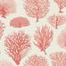 Обои Seafern от Cole & Son созданы по мотивам ботанических гравюр конца XVIII века с изображением различных видов кораллов мягкого тицианово-красного оттенка. В качестве фона использован узор “Vermicelli” из архива фабрики молочного цвета. Обои для гостиной, спальни купить в интернет-магазине, онлайн оплата.