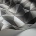 Обои Quartz от Cole & Son с геометрическим объемным рисунком из кристаллов будоражат воображение захватывающей игрой своих граней, окрашенных в серебряные, графитовые и кварцевые тона. Обои для гостиной, спальни. Купить английские дизайнерские обои.
