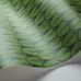 Обои из Великобритании коллекции ARDMORE от COLE & SON. Мягкий геометрический рисунок, перья птицы Narina в зеленом цвете для кабинета. Заказать на сайте с бесплатной доставкой
