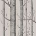 Обои Woods от Cole & Son ( арт. 112/3009 ) наполняют интерьеры изящными линиями стволов и ветвей деревьев на фоне льняного цвета. Дизайн является одним из самых культовых в истории бренда и печатается с 1959 года. Английские обои, Обои Cole & Son, Каталог обоев