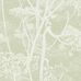 Обои Cow Parsley от Cole & Son арт. 112/8029. Необычный растительный принт белого цвета, с изображением коровьей петрушки, похожей на борщевик, с фоном из взмахов толстой кисти оливкового цвета. Английские обои, Обои Cole & Son, Купить из наличия в салоне.