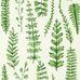Английские обои Ferns артикул 112798 из каталога Garden of Eden от бренда Scion с растительным узором папоротника и можжевельника купить в Москве.