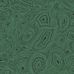 Купить английские флизелиновые обои Cole & Son® Fornasetti Senza Tempo Арт.114/17035. Обои с рисунком малахита на зеленом фоне.Обои для гостиной, бесплатная доставка.