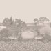Пейзажное фотопанно Idyll Platinum Pearl / Идиллия, арт 120/1002M из каталога The Gardens, пр-во Cole&Son, Великобритания с рисунком природной идиллии фонтаном и павлинами на фоне перламутрового платинового цвета.