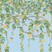 Голубые английские обои с птицами колибри на ветках жимолости Hummingbirds Flora Cornflower Blue, арт 124/2011, из каталога Selection of Hummingbirds, пр-во Cole&Son, Великобритания. Заказать в интернет магазине с доставкой по всей России.