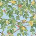 Английские обои с птицами колибри на ветках жимолости Hummingbirds Flora Cornflower Blue, арт 124/2011, из каталога Selection of Hummingbirds, пр-во Cole&Son, Великобритания. Заказать в интернет магазине с доставкой по всей России.