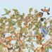 Обои-панно Tree of Life Sky Blue арт. 129/1003 от Cole&Son каталог Ardmore Baobab, флизелиновые, стиль джунгли, баобаб и животные