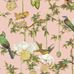 Детальный фрагмент флизелиновых обоев Baobab Botanica Blush арт. 129/2005 от Cole&Son каталог Ardmore Baobab, детальная прорисовка баобаба и роскошных птиц на нежно-розовом фоне.