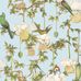 Флизелиновые обои Baobab Botanica Sky Blue арт. 129/2007 от Cole&Son каталог Ardmore Baobab небесно-голубые обои с баобабом и роскошными птицами.
