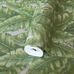 Фото рулона моющихся обоев Banana Leaf артикул 1507-3 из каталога Vera от Adawall  с детализацией фактурного растительного узора изумрудно зеленого цвета под ткань с шелковым мерцанием