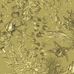 Флизелиновые обои из Швеции коллекция  ОБОЕВ LOUNGE LUXE ОТ ENGBLAD&CO  под названием  MIRAMAR LIMITED EDITION Выполненные в акварельной манере обои “Miramar” тонко поблёскивают золотыми деталями рисунка Купить обои в салоне Одизайн, онлайн оплата, бесплатная доставка,