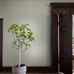 Интерьер гостиной в оливковом цвете с мерцающими перламутровым блеском обоями